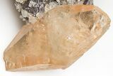 Twinned Calcite Crystal with Sphalerite - Elmwood Mine #209734-2